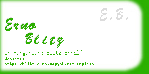 erno blitz business card